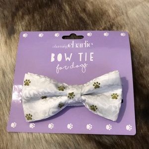 Doggy bow tie